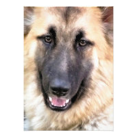 GERMAN SHEPHERD
