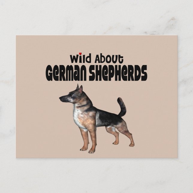 German Shepherd Postcard (Front)
