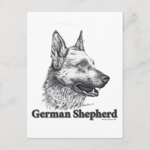 German Shepherd Postcard