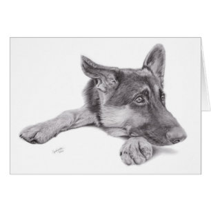 German Shepherd Postcard