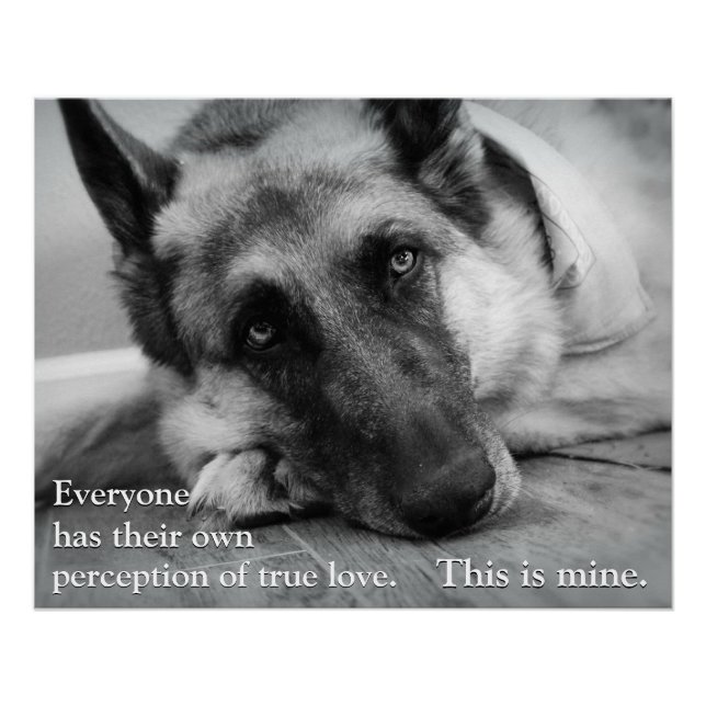 German Shepherd Poster (Front)