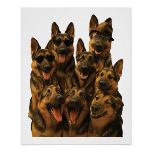 German Shepherd Poster