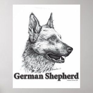 German Shepherd Poster