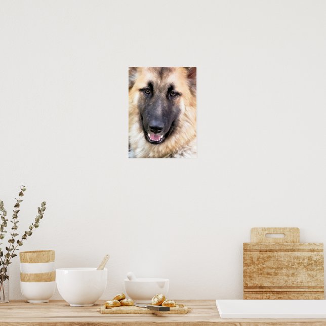 GERMAN SHEPHERD POSTER (Kitchen)