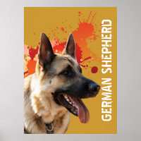 German Shepherd