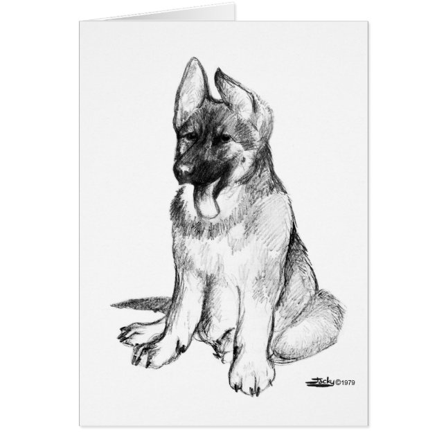 German Shepherd Puppy (Front)