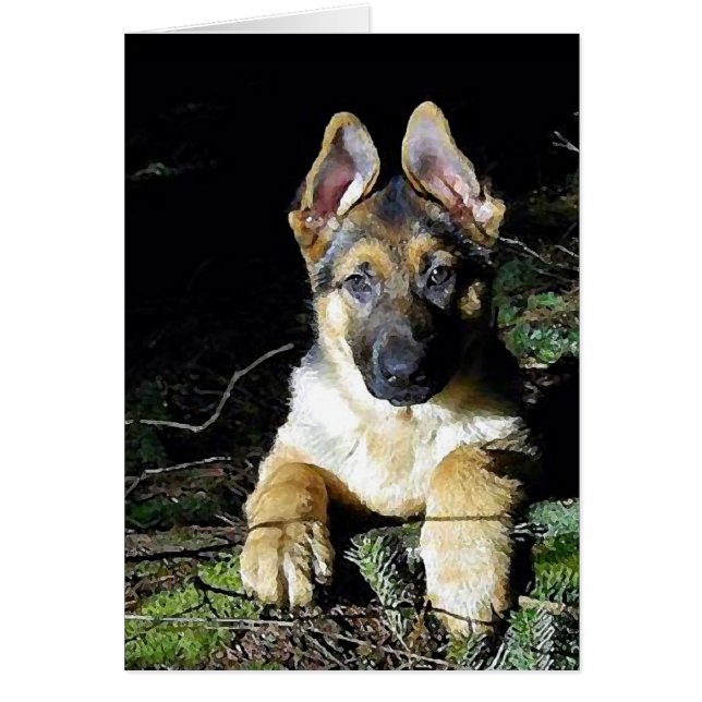 German-Shepherd Puppy (Front)