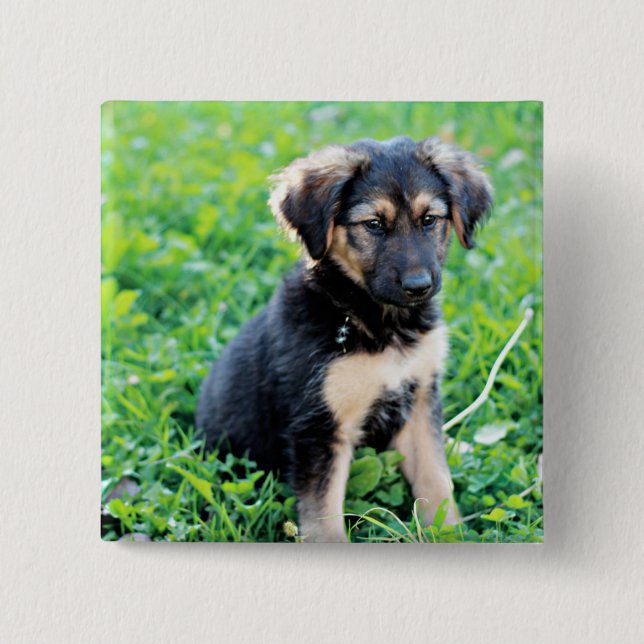 German Shepherd Puppy 2 Inch Square Button (Front)