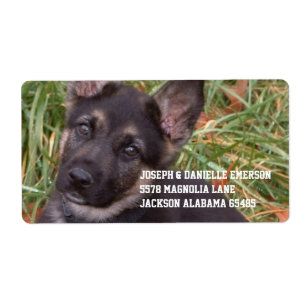 German Shepherd Puppy Address Sticker