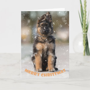 German shepherd puppy at christmas. card