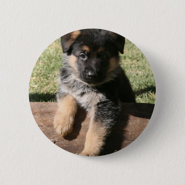 German Shepherd Puppy "Big Max" 2 Inch Round Button (Front)