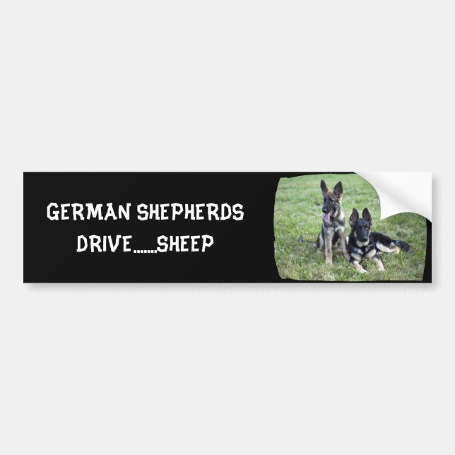 GERMAN SHEPHERD PUPPY BUMPER STICKER (Front)