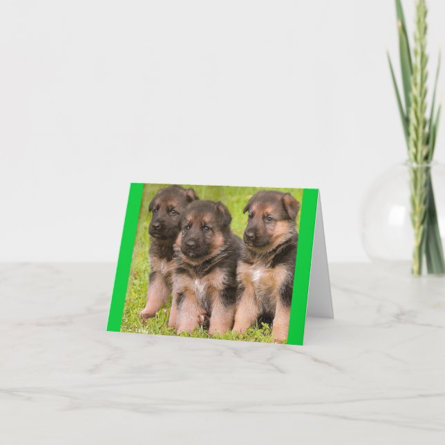 German Shepherd Puppy Dog Blank  Note Card (Front)