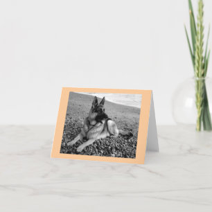 German Shepherd Puppy Dog Blank Pink Note Card