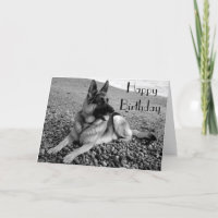 German Shepherd Puppy Dog Happy Birthday Card