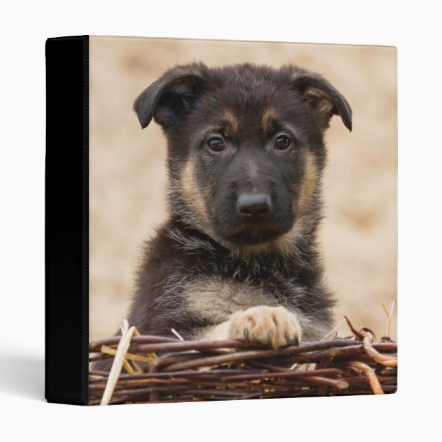 German Shepherd Puppy In Basket Binder (Front/Spine)