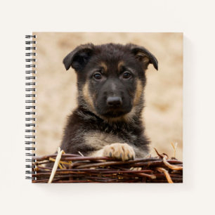 German Shepherd Puppy In Basket Notebook