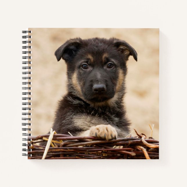German Shepherd Puppy In Basket Notebook (Front)