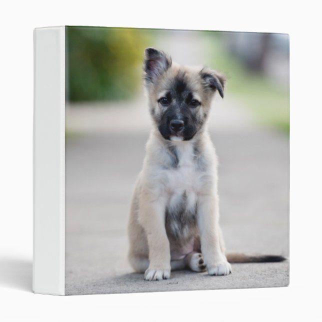 German Shepherd Puppy on Footpath Binder (Front/Spine)