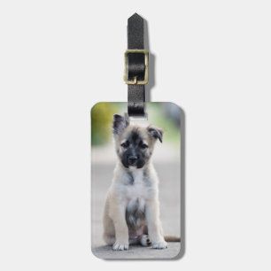 German Shepherd Puppy on Footpath Luggage Tag