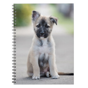 German Shepherd Puppy on Footpath Notebook