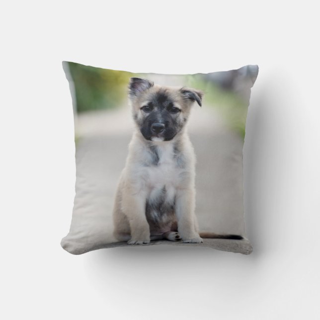 German Shepherd Puppy on Footpath Throw Pillow (Front)