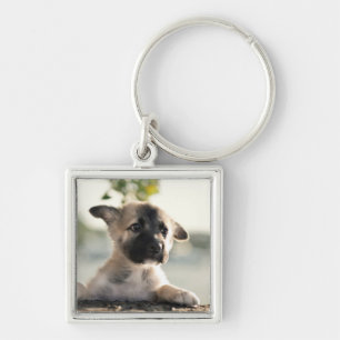 German Shepherd Puppy Over Ledge Keychain