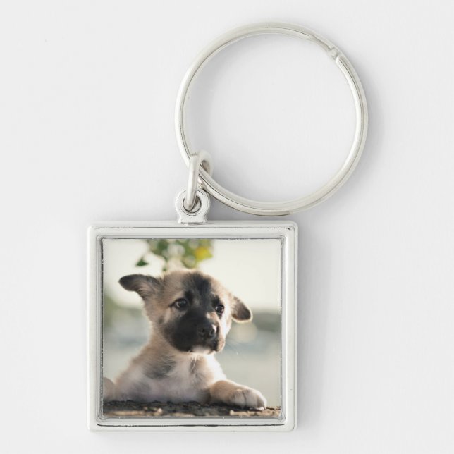 German Shepherd Puppy Over Ledge Keychain (Front)