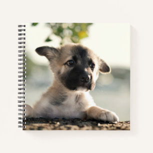 German Shepherd Puppy Over Ledge Notebook
