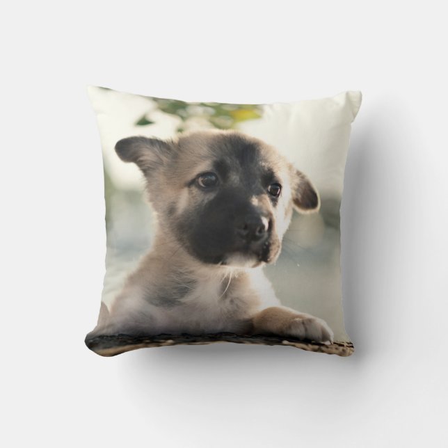 German Shepherd Puppy Over Ledge Throw Pillow (Front)
