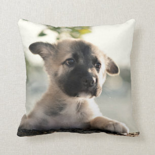 German Shepherd Puppy Over Ledge Throw Pillow