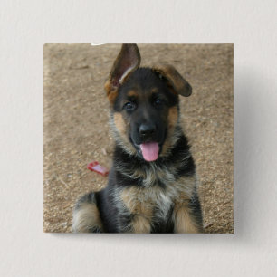 German Shepherd Puppy Square Pin