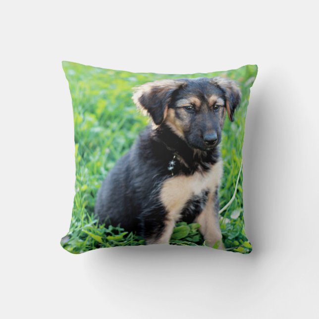 German Shepherd Puppy Throw Pillow (Front)