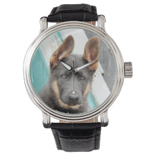 German Shepherd Puppy Watch