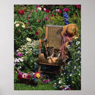 German Shepherd Pups Poster Garden