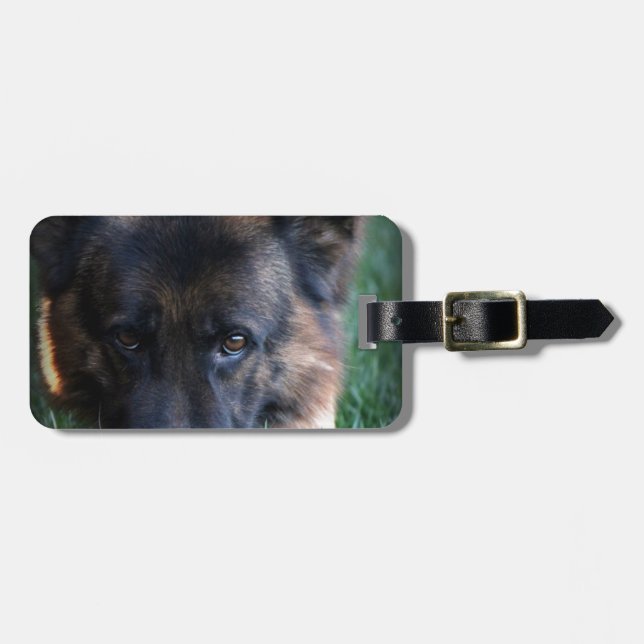German Shepherd Randy vom Leithawald Luggage Tag (Front Horizontal)