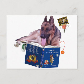 German Shepherd Reading Book Postcard