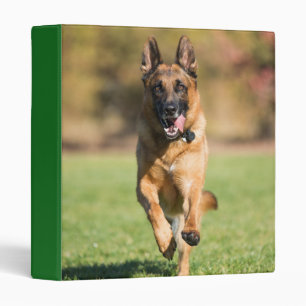 German Shepherd Running Binder