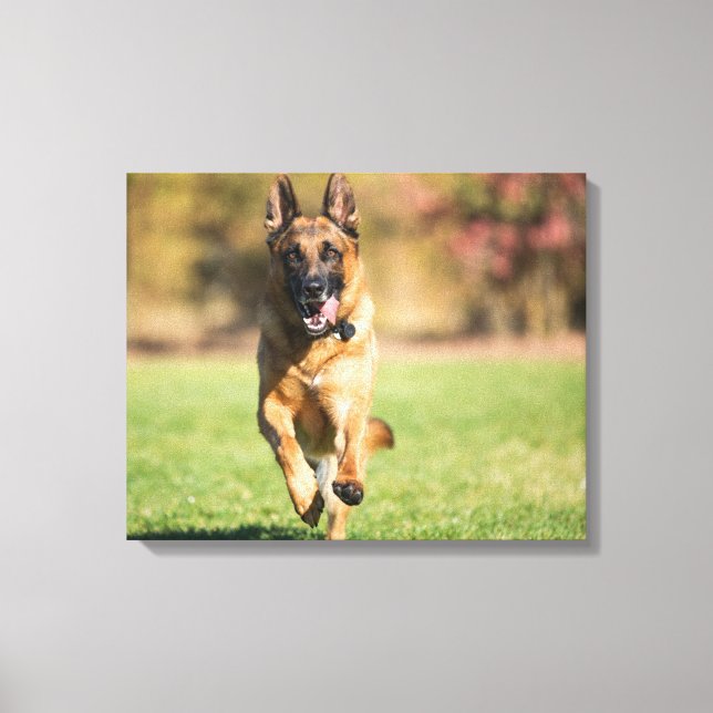 German Shepherd Running Canvas Print (Front)