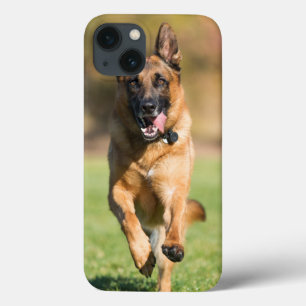 German Shepherd Running iPhone 13 Case