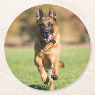 German Shepherd Running Round Paper Coaster