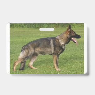 German Shepherd Sable Full Badge