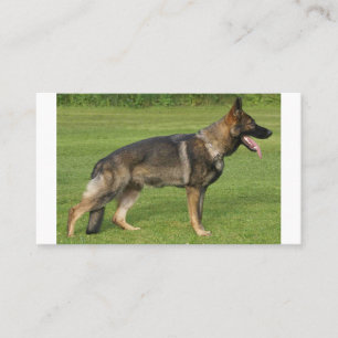 German Shepherd Sable Full Business Card