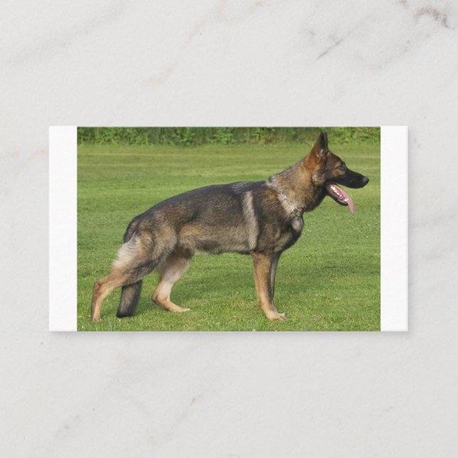 German Shepherd Sable Full Business Card (Front)