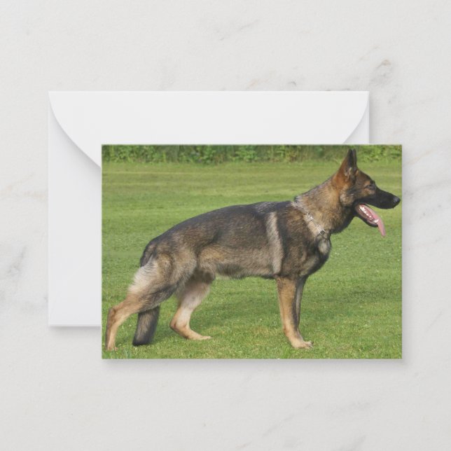 German Shepherd Sable Full Card (Front)