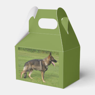 German Shepherd Sable Full Favor Box