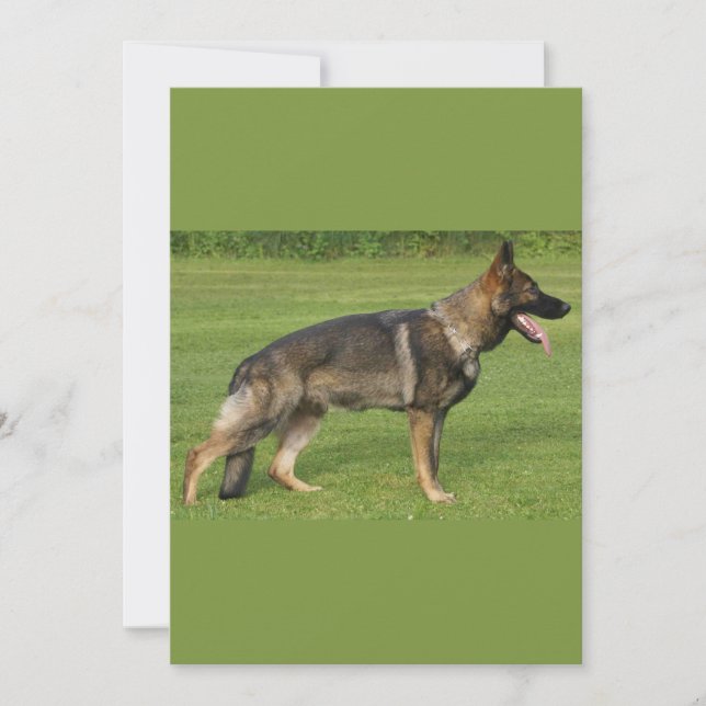 German Shepherd Sable Full Invitation (Front)