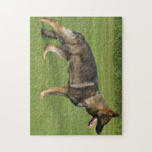 German Shepherd Sable Full Jigsaw Puzzle