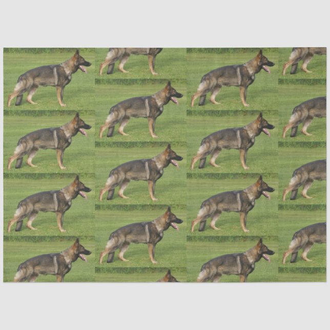 German Shepherd Sable Full  Tissue Paper (Front)