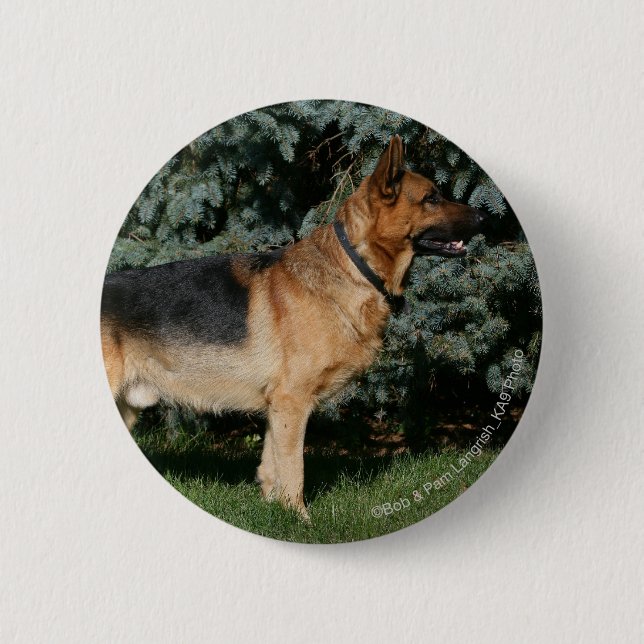 German Shepherd Show Stand 2 Inch Round Button (Front)